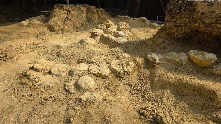 Uova di dinosauro - Musée Parc des Dinosaures de Mèze / Facebook