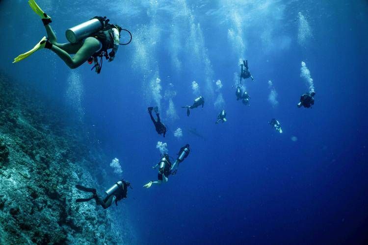 Un gruppo di sub alle Maldive - (Fotogramma)