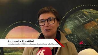 Agricoltura: Forattini (Pd), 'per il futuro guardare all'Europa'