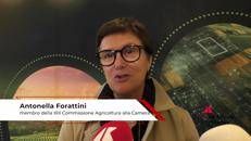 Agricoltura: Forattini (Pd), 'per il futuro guardare all'Europa'