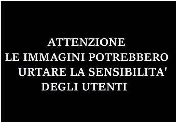 Modena, auto sulla folla: il video delle telecamere