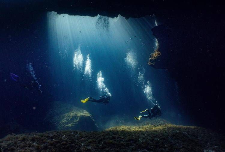 Sub alle Maldive - (Ipa)