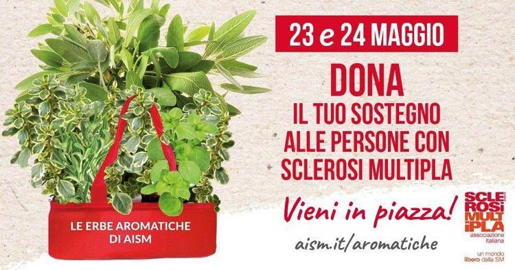 Le erbe aromatiche Aism in 500 piazze - (foto Ufficio stampa)