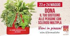 Le erbe aromatiche Aism in 500 piazze - (foto Ufficio stampa)