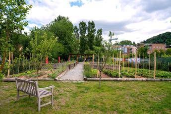 Inaugurato a Torino il nuovo orto terapeutico per bambini e famiglie con il sostegno di Enel Cuore