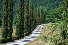 Tenuta di Acqua Panna, a Scarperia, nel Mugello - (foto Ufficio stampa)