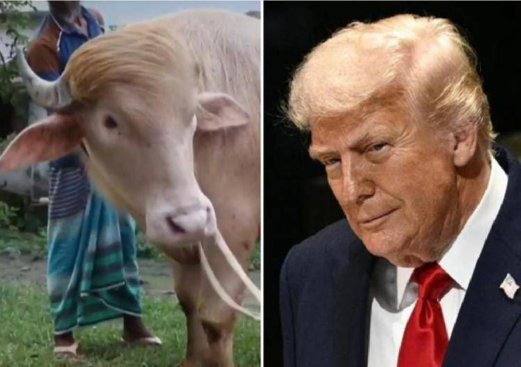 Donald Trump e Donald Trump - (Foto X - Afp)