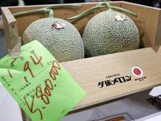 Meloni Yubari - Afp
