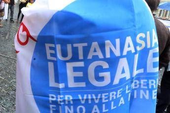 Eutanasia Manifestazione Fg Immagine in aggiornamento