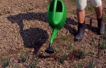 Alimenti, ecco Agrivalor, l'Ai che 'legge' la terra e fa rinascere i borghi