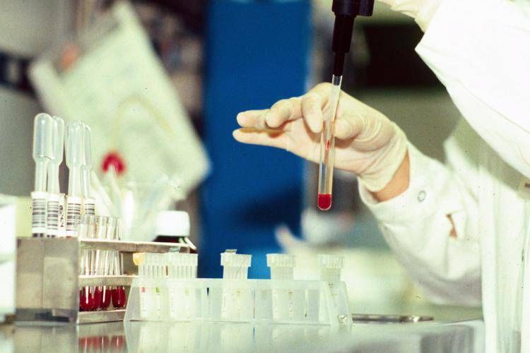 Laboratorio di analisi - Fotogramma