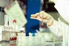 Laboratorio di analisi - Fotogramma