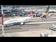 Tragedia alle Maldive, in Italia le salme dei sub: l'arrivo a Malpensa - Video