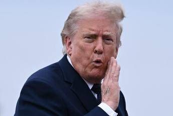 Donald Trump - (Ipa)