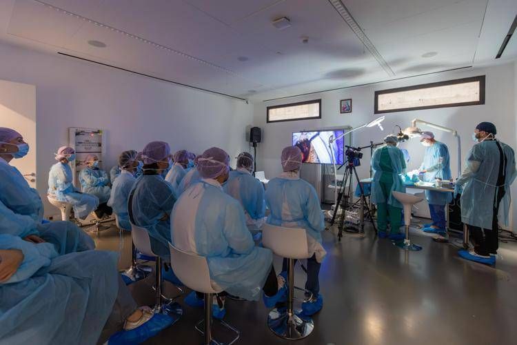 Lezioni di anatomia dissettiva dell’Anatomy Lab Ucbm - (foto Ufficio stampa)