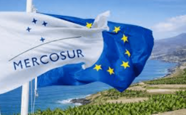 Ue-Mercosur, il presidente di Assocamerestero avverte: 