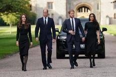 Kate, William, Harry e Meghan - Ipa