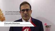 Salute: Ottaviano (Università di Padova) 