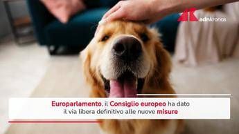 Tracciabilità di cani e gatti, via libera Consiglio europeo a nuove misure
