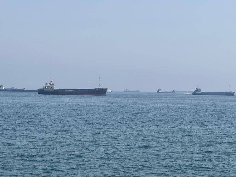 Navi nello Stretto di Hormuz - (Fotogramma)