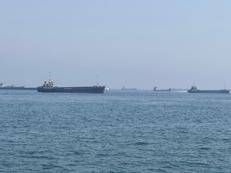 Navi nello Stretto di Hormuz - (Fotogramma)