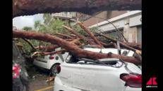Tromba d'aria a Roma, alberi caduti e auto distrutte a Conca d'Oro - Video
