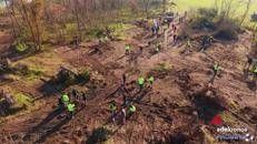 Quattro anni di Foresta Italia, 175mila piante messe a dimora