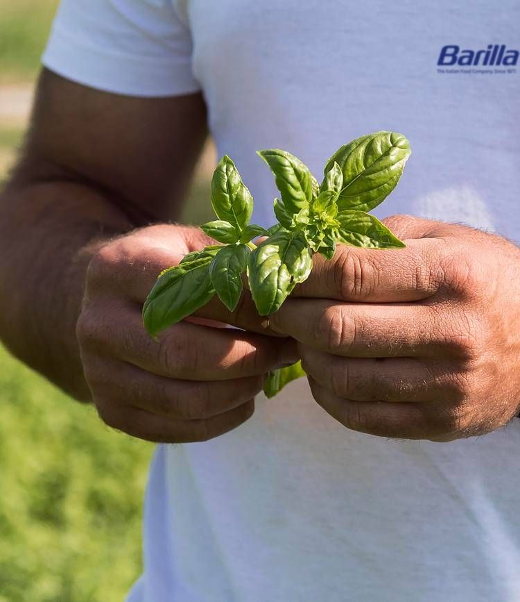 Barilla -  Rapporto Sostenibilità 2025 - (Foto ufficio stampa)