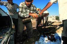 Libano del Sud
Villaggio sciita di Hanin. Gli Hezbollah aiutano alcuni abitanti del villaggio a estrarre alcuni razzi israeliani dal terreno. - ©A.Sargos/Photomasi/IBERPRESS