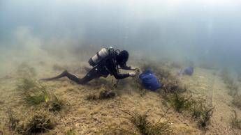 Findus rafforza l'impegno per la tutela del mare, lotta a pl