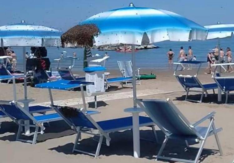 Stabilimento di Cattolica - Vivere Riccione