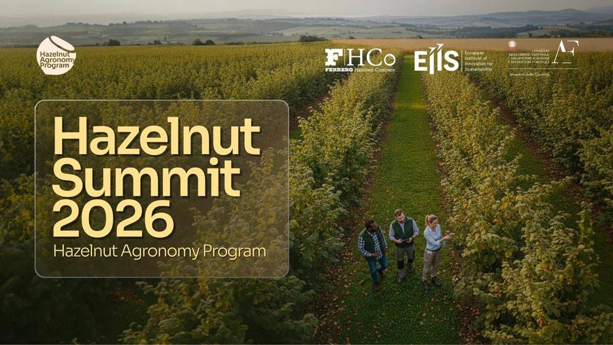 https://www.adnkronos.com/resources/02a6-20d403c82afe-f221507a4571-1000/format/huge/copertina_hazelnut_summit2026_us.jpeg