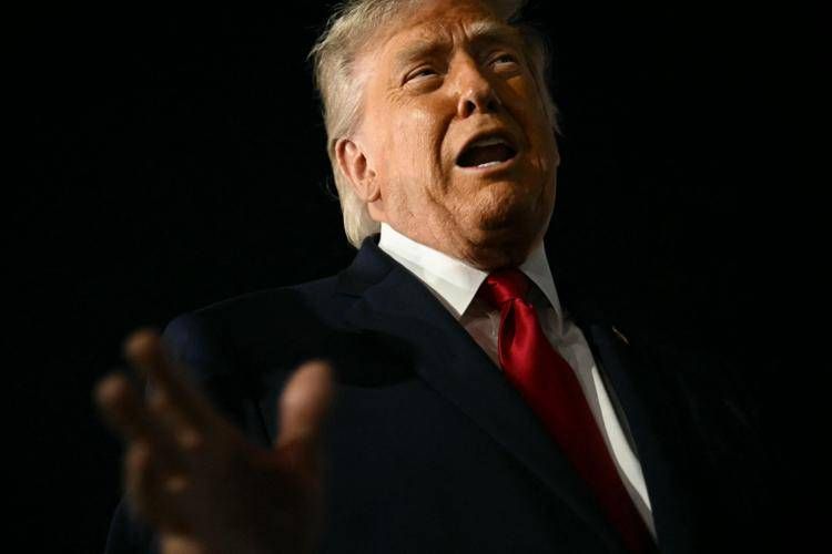 Donald Trump - (Afp)