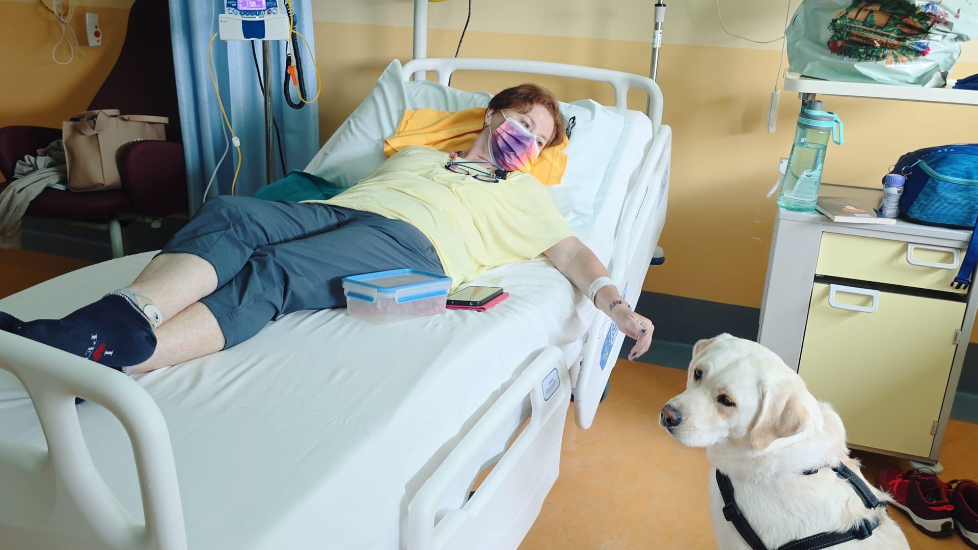 In Veneto prima chemio con cagnolina (Joy) al letto della paziente