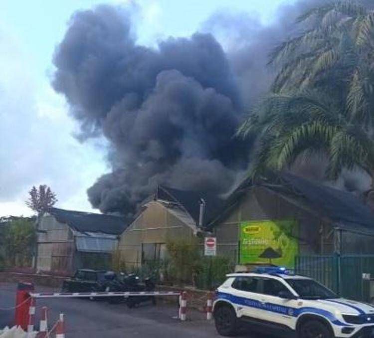 Incendio al Tuscolano - Foto vigili del fuoco