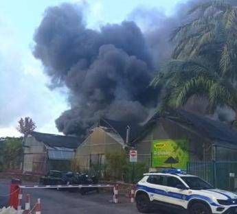Incendio al Tuscolano - Foto vigili del fuoco