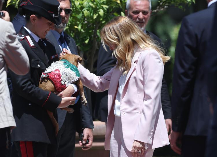Giorgia Meloni con Briciola - (Ipa)