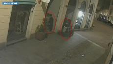 Picchiavano e rapinavano in pieno centro a Varese, ripresi dalle telecamere di sorveglianza - Video