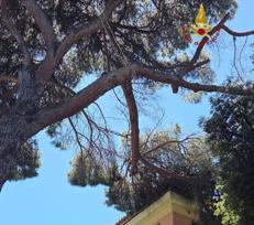 (Foto vigili del fuoco) 