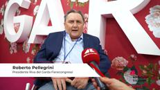 Fiere, Pellegrini: 