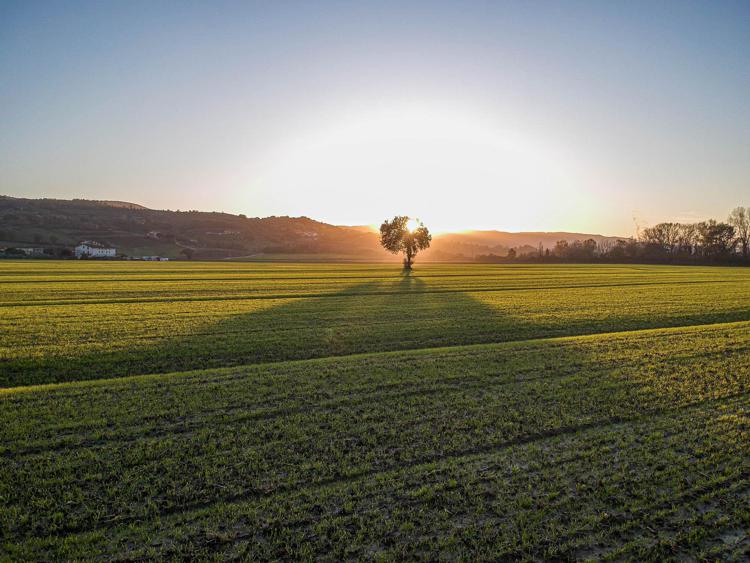 Distribuito il rapporto 'Le buone pratiche che curano il suolo'  - (credits Matteo Berlenga per Re Soil Foundation)
