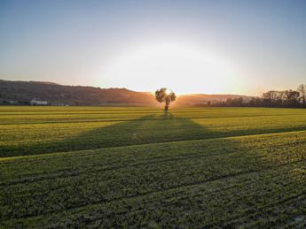 Distribuito il rapporto 'Le buone pratiche che curano il suolo'  - (credits Matteo Berlenga per Re Soil Foundation)