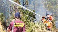 Incendio a Castel Porziano, Canadair in azione a Ostia - Video