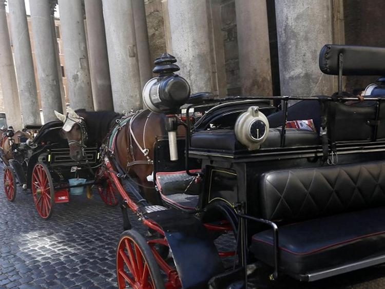 Appello per le botticelle: 