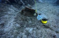 Archeologia subacquea, recuperati reperti a Lampedusa