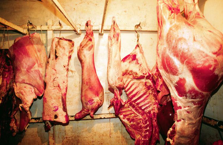 Le nuove norme Ue tutelano la carne derivante dagli animali tramite macellazione - Fotogramma/Ipa