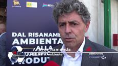 Ramonda, 