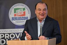 Fulvio Martusciello - Foto/Felice De Martino/Fotogramma