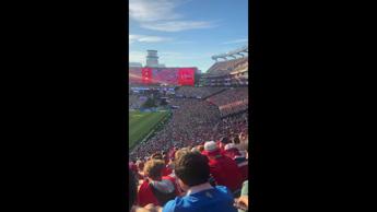 Norvegia, lo show dei tifosi ai Mondiali: la 'Viking Row' è ovunque - Video