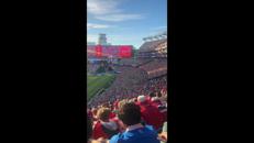 Norvegia, lo show dei tifosi ai Mondiali: la 'Viking Row' è ovunque - Video